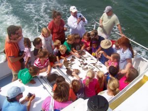 Showing kids ocean finds during our Myrtle Beach Dolphin Tour